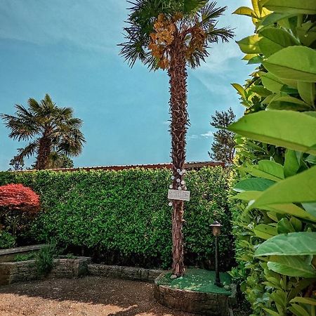 Casa Victoria Villa Castelletto sopra Ticino Exterior foto